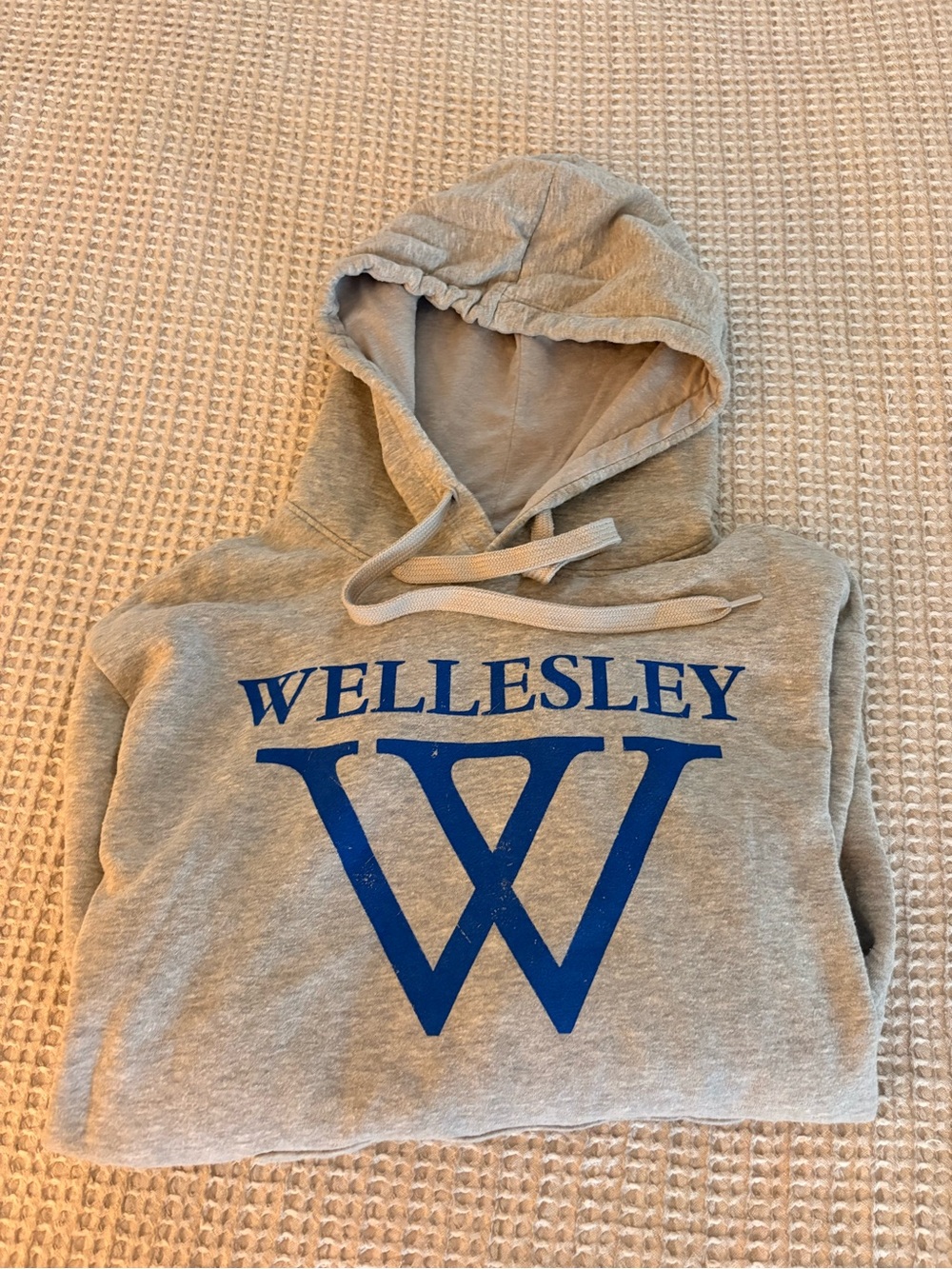 Wellesley Gray Hooded Sweatshirt with Blue W Logo